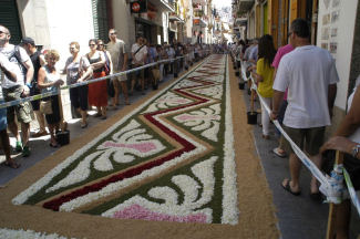 alfombra