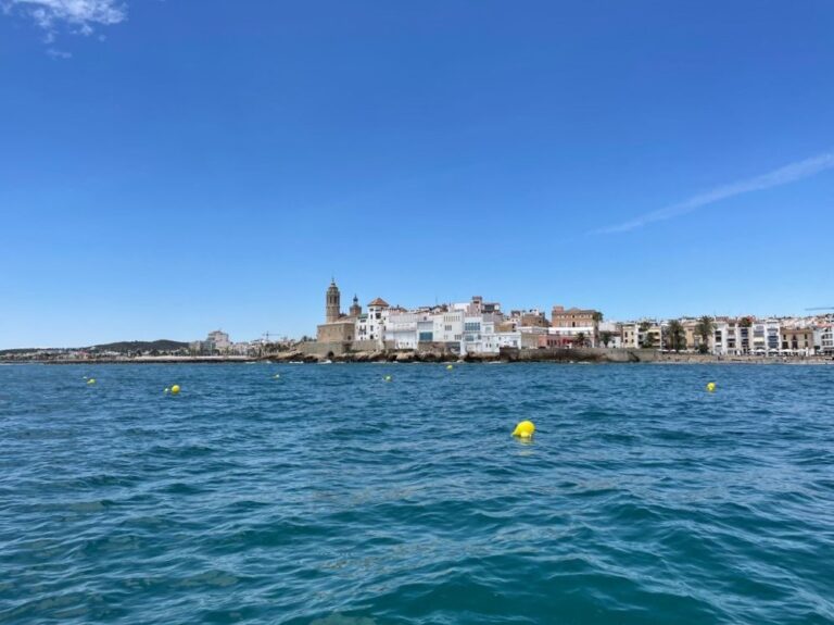 a47472c5-51a8-4c88-8d62-a42d6176aaed